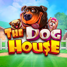 Dog House